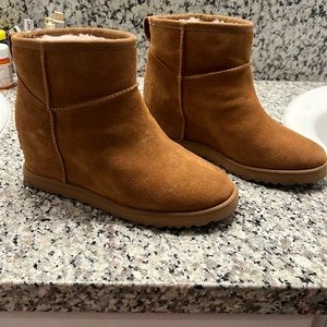 Ugg Femme Mini in the color Chestnut